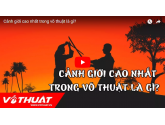 Đâu là cảnh giới cao nhất của võ thuật?