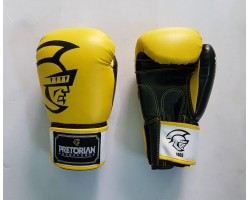 Găng Boxing Pretorian Vàng