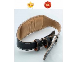 Đai lưng tập tạ tập gym tập thể hình