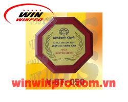 Kỷ Niệm Chương TLC003