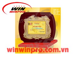 Kỷ Niệm Chương TLC009