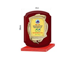 Kỷ Niệm Chương TLC010
