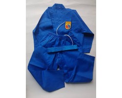 Võ Phục Vovinam